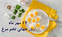 ارتباط بین مصرف تخم مرغ و خطر مرگ و میر
