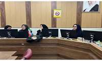 جلسه کار گروه بازنگری دستور العمل جذب بهورز برگزارشد 