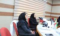 برگزاری آزمون اعتبارسنجی تعیین صلاحیت  تشخیص میکروسکوپی مالاریا 