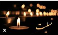 پیام تسلیت معاون بهداشتی دانشگاه علوم پزشکی هرمزگان در پی شهادت ،سید حسن نصرالله