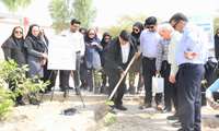آیین کاشت نهال به یاد جنین های سقط شده هرمزگان برگزار شد. 