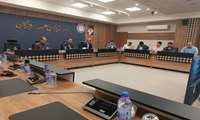 برگزاری نشست کمیته بهسازی با محوریت پیشگیری و کنترل بیماری تب دِنگی در استانداری هرمزگان