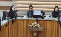 کارگاه آموزشی «مراقبت‌های ادغام‌یافته سلامت مادران» با محوریت کاهش مرگ‌ومیر مادران برگزار شد