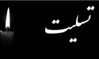 پیام تسلیت معاون بهداشتی دانشگاه علوم پزشکی هرمزگان در پی درگذشت برادر مسوول فنی آزمایشگاه مرجع دانشگاه علوم پزشکی هرمزگان